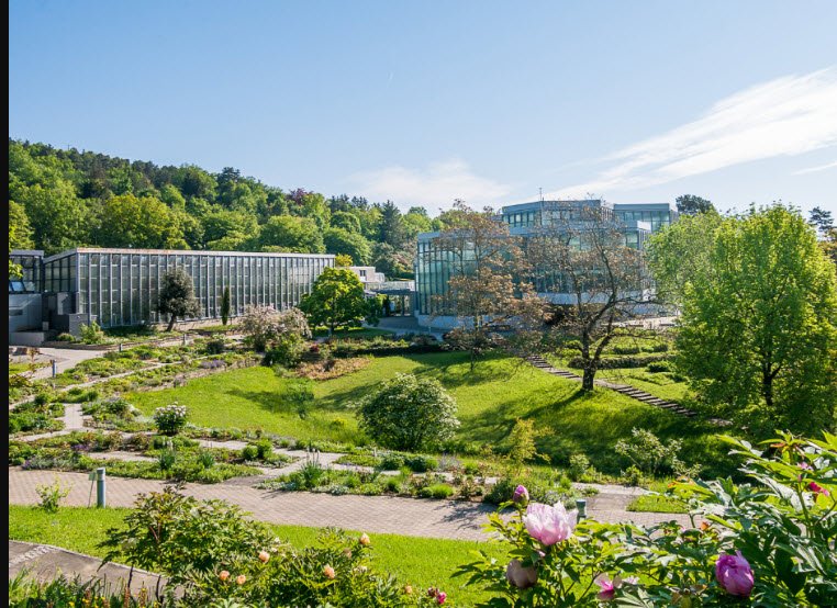 Botanischer Garten der Universität Tübingen, Germany
